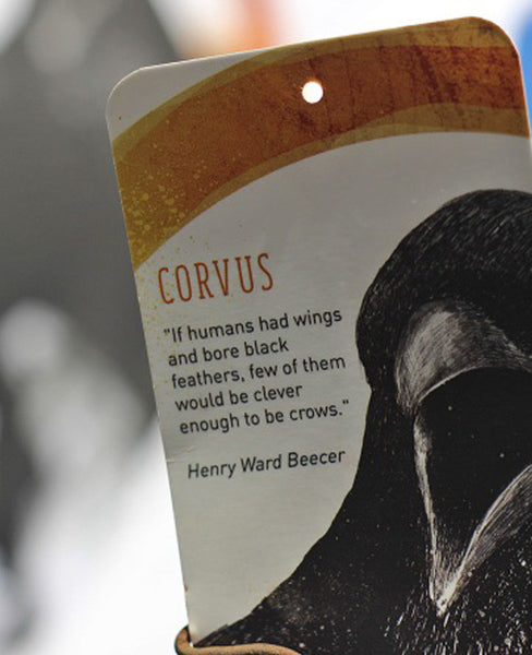 KAFT 'Corvus' t-shirt